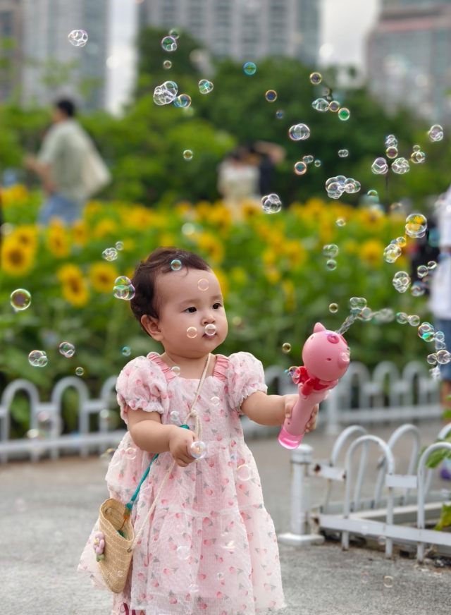 二沙島宏城公園向日葵 陳龍彥 拍攝