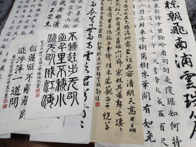 本次赛事中，广州中小学生部分参赛作品。