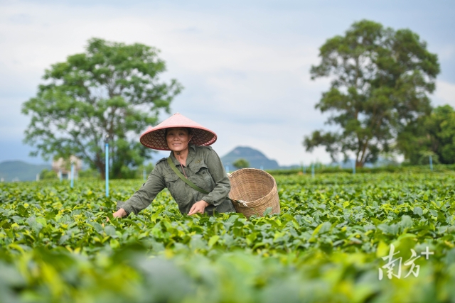 百千万1 南方+ 南方PLUS值班 拍摄