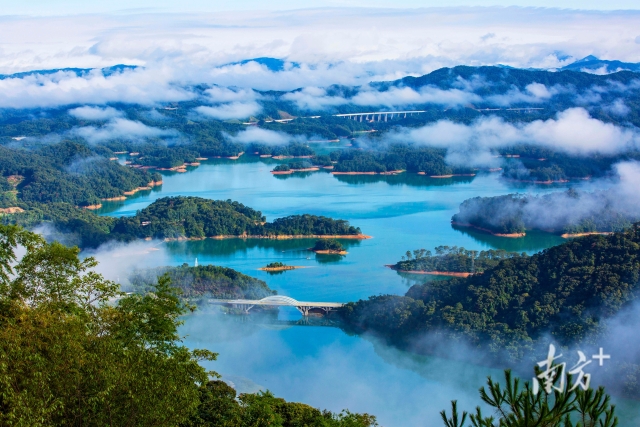 百千万2 南方+ 南方PLUS值班 拍摄