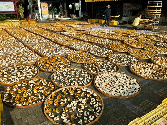 Local vendors place tangerine peels under the sun for drying. 李方旺 拍摄