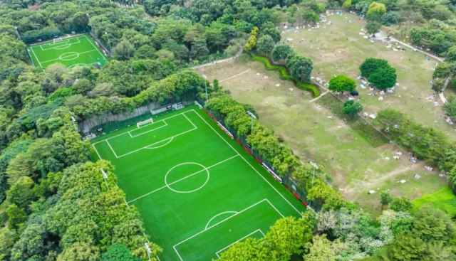Aerial view of the Center