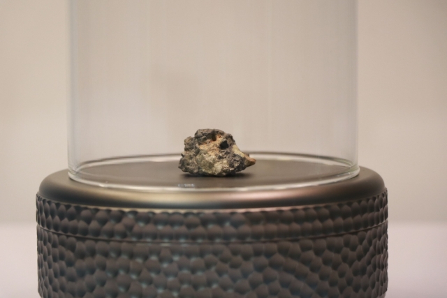 月球陨石NWA 14685 受访者供图 月球陨石NWA 14685 受访者供图