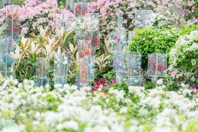 Photo: Urban Planning and Construction Bureau of Hengqin