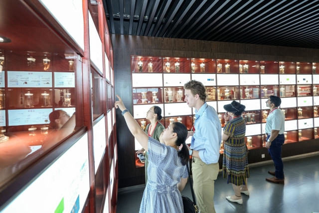   南方+ 白桦 拍摄