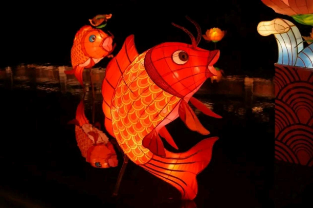 Fish-shaped lanterns