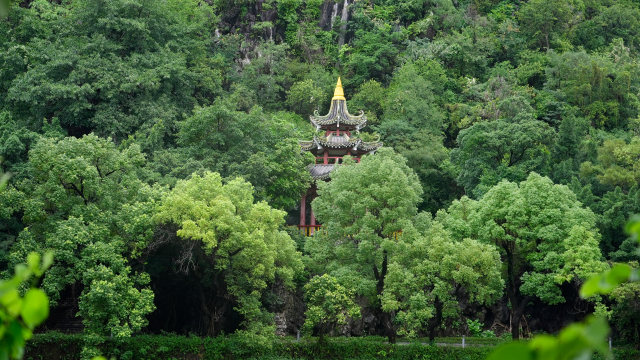 A corner in Zhaoqing's Seven-Star Crag.