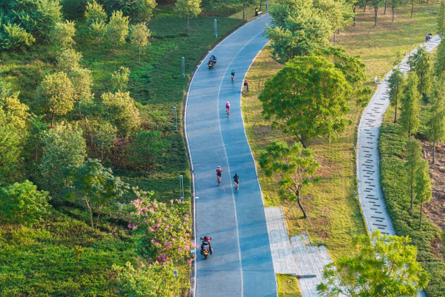 A pathway in Yanyang Lake