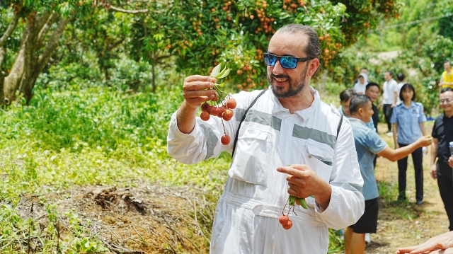 Greek crew members speak highly of Huizhou litchis. 南方+ 乌天宇 拍摄