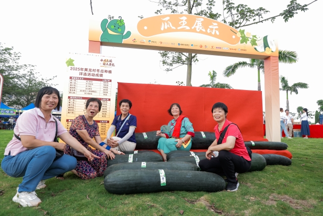 The black-skin winter melon is a specialty agricultural product of Huanglong Village. 通讯员 Huanglong Village 供图