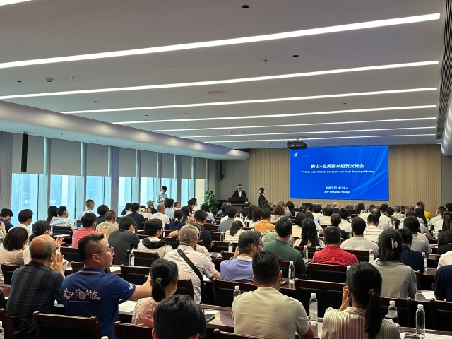   南方+ 白桦 拍摄