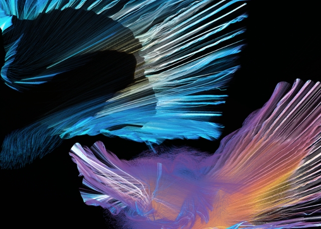 吳少英 Cindy Ng
韻律 The Beauty of the Rhythm
數(shù)字生成藝術(shù)互動(dòng)作品 Digital interact generative work