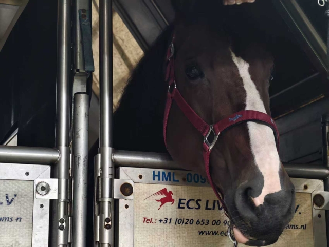 Photo: Guangzhou Baiyun International Airport