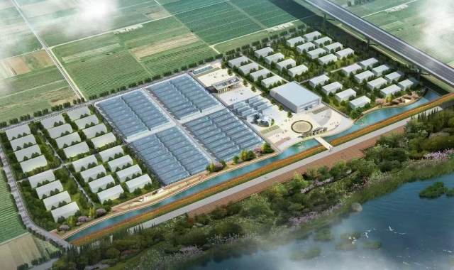 通讯员 陈温馨 张蒙娇 供图