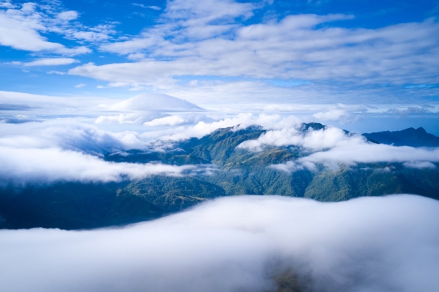 Xinyi's Natural Wealth