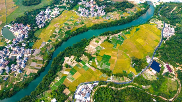 Neatly arranged houses, murmuring streams, and billowing rice fields merge into a scene of rural prosperity.