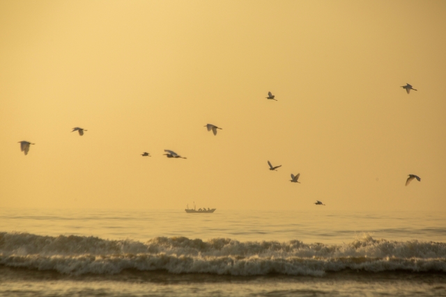 The scene of fishing boats, birds, and ocean spray is as beautiful as a painting.