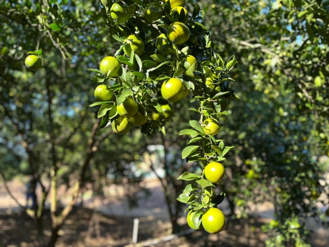 Deqing Gonggan. Photo : Nanfang Plus