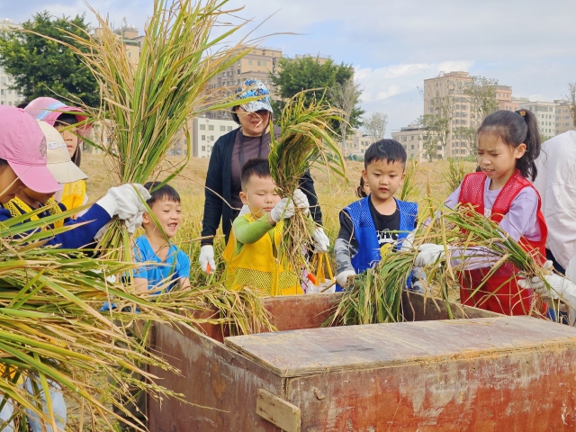   南方+ 郭文君 拍摄